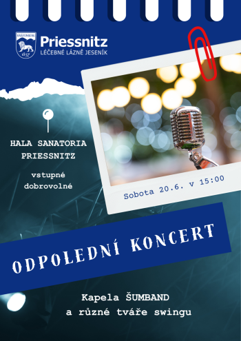 ODPOLEDNÍ KONCERT