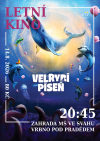 Letní kino – Velrybí píseň
