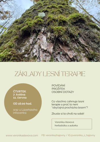 ZÁKLADY LESNÍ TERAPIE